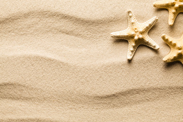 Fototapeta na wymiar Summer background - starfish on beach sand
