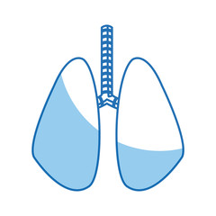 lung human organ healthy line blue vector illustration