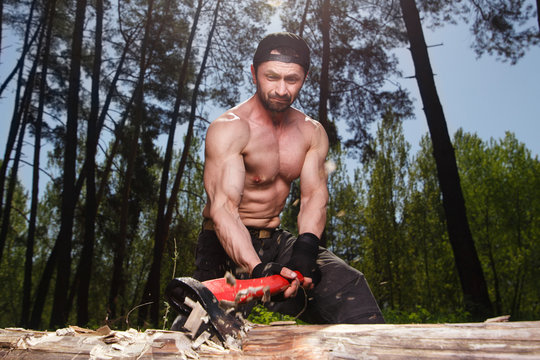 Lumberjack Worker Chopping Down A Tree In The Forest With Big Axe