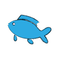 Fish sea animal icon vector illustration graphic design