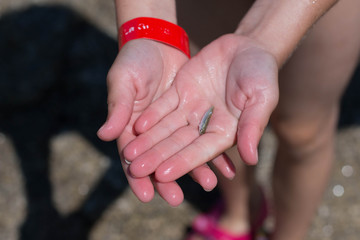 Peche &agrave; la mer