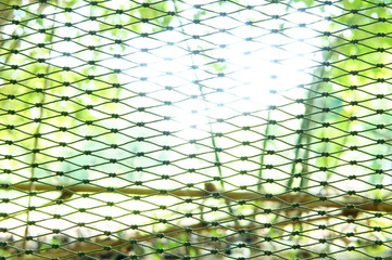Fishing net background with sunlight