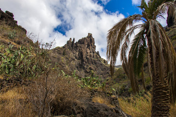 Fototapeta na wymiar Masca Gorge view. Spain. Tenerife
