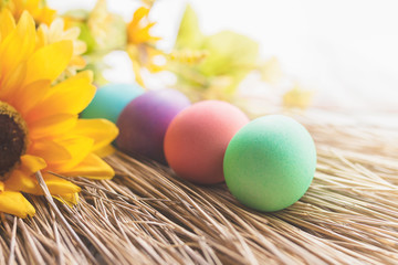 Colorful Easter eggs laying on a straw with some yellow flowers