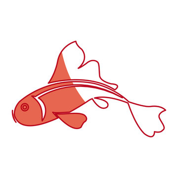 japanese koi fish traditional animal shadow vector illustration