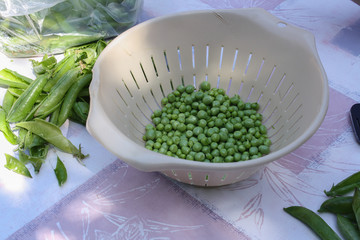 Petit pois &agrave; &eacute;cosser
