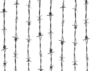 8 lines of vertical, new barbed wire, isolated against the clear white background.