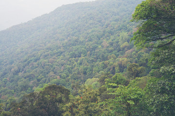 Fototapeta premium Mountains under mist in the morning.