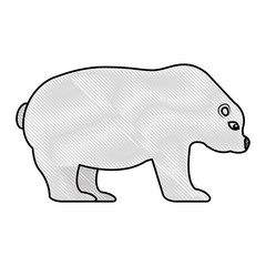 polar bear isolated icon vector illustration design