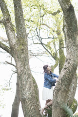 木登りする女性