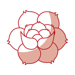 rose flower tattoo icon vector illustration design