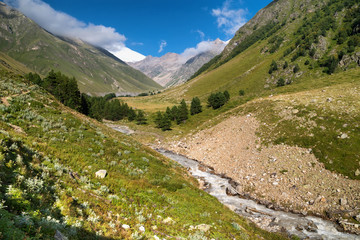 River and high mountains. Beautiful natural landscape in the summer time