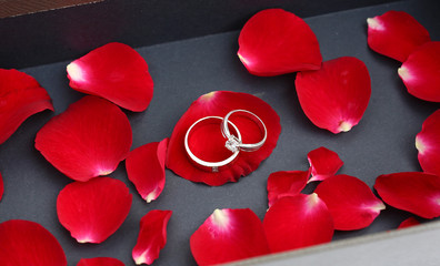 Wedding rings on petals of red rose in luxury leather box.