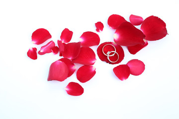 Abstract petals of red Rose with wedding rings on white background.