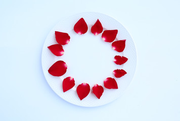 Circle of rose petals on white ceramic plate against white background.
