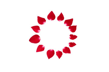 Circle of rose petals isolated on white background.
