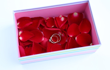 Petals of red rose and wedding rings in Modern box on white background.
