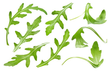 Ruccola leaf isolated on white background, single green arugula leaves collection - obrazy, fototapety, plakaty