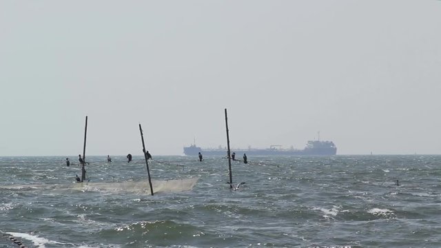 Group of black cormorants sitting on fishing nets with cargo ship moving on horizon