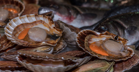 Vieiras frescas del dia en mercado gallego