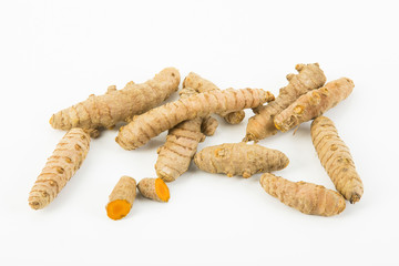 Kurkuma (curcuma longa)