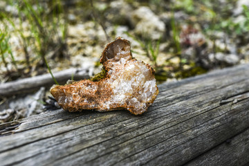 Mineral calcite crystal rock on a wood in forest in Polish jurrasic park.