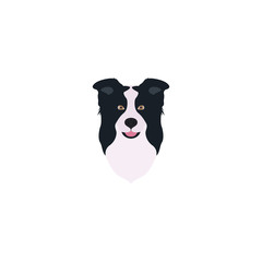 Abstract vector illustration of border collie head.