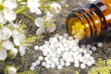 Obraz na płótnie Canvas homeopathic globules as therapy for alternative medicine