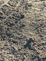 Pebble sand earth background