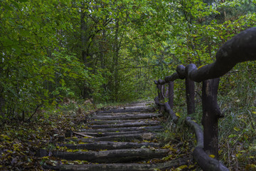 schody w jesiennym lesie