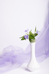 Bunch of beautiful spring flowers