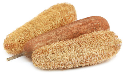 Natural scrubber of dried Ridge gourd