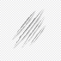 Claws scratches - vector isolated on transparent background. Claws scratching animal (cat, tiger, lion, bear) illustration.  - 150486792