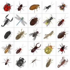 realistic 3d render of insect - large collection © bescec