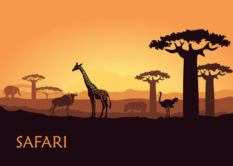 Fototapeta na wymiar African landscape with wild animals