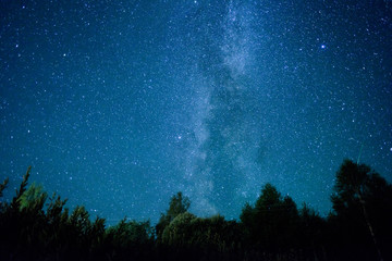 A view of the stars of the Milky Way with a pine trees in the foreground. Perseid Meteor Shower in...