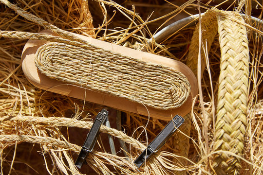 Esparto halfah grass used for crafts basketry