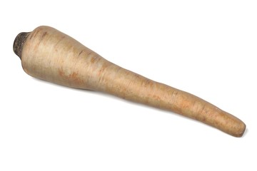 realistic 3d render of parsley root