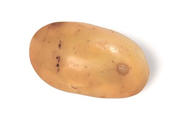 realistic 3d render of potato