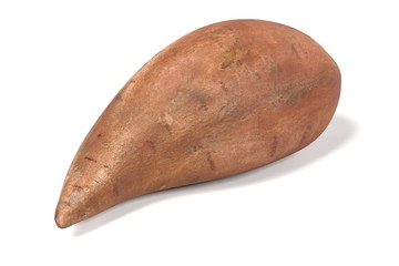 realistic 3d render of sweet potato