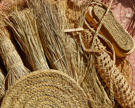 Esparto halfah grass used for crafts basketry