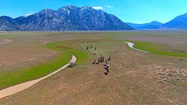 Doğada Vahşice Koşan Atlar