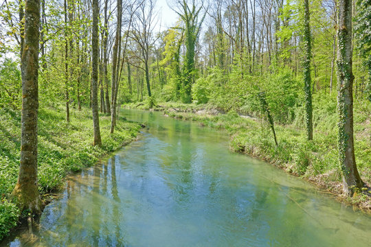 Alte Aare bei Aarberg, Schweiz