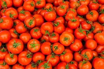 group of red ripe tomatoes