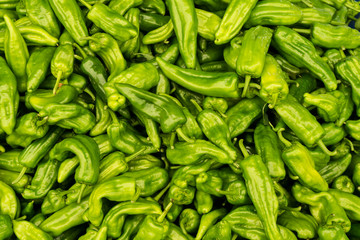green peper chili. background