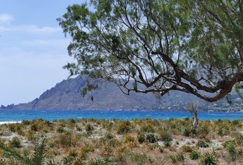 landscape from Crete