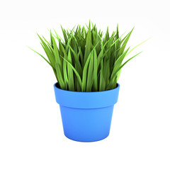flowerpot with green grass without shadow on white bakground 3d