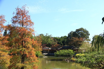 Traditional Chinese Garden in Hong Kong