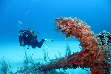 Diver and Anchor