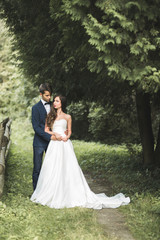 Wedding couple bride and groom holding hands